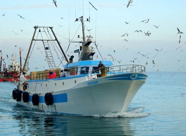 Mauro: “sostegno al settore della pesca”