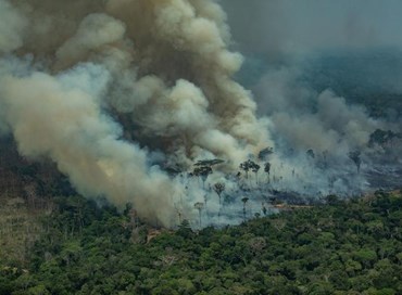 Amazzonia: il Brasile rifiuta i soldi del G7