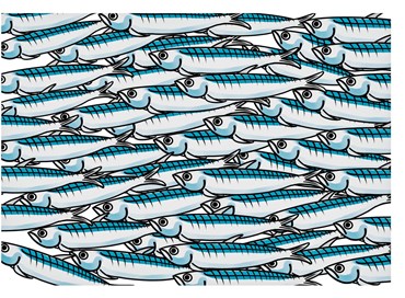 Le sardine in via d’estinzione ed i delfini affamati