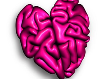 La relazione cuore-cervello