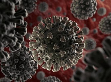 Dieci domande al Coronavirus