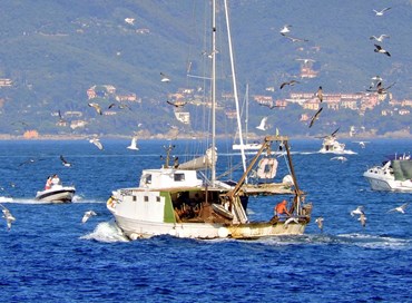 “Blue Growth” nei mari italiani: esempi di circolarità nelle catene del valore marittimo