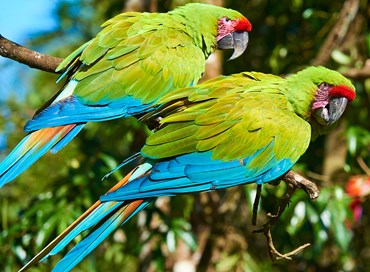 Il Costa Rica tutela e valorizza il proprio patrimonio naturalistico