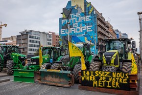 Trattori a Bruxelles: sversati letame e patate