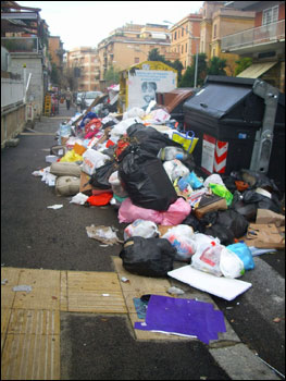 Disinfestare Roma