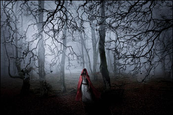 Fiaba: il risparmiatore intrappolato nel bosco
