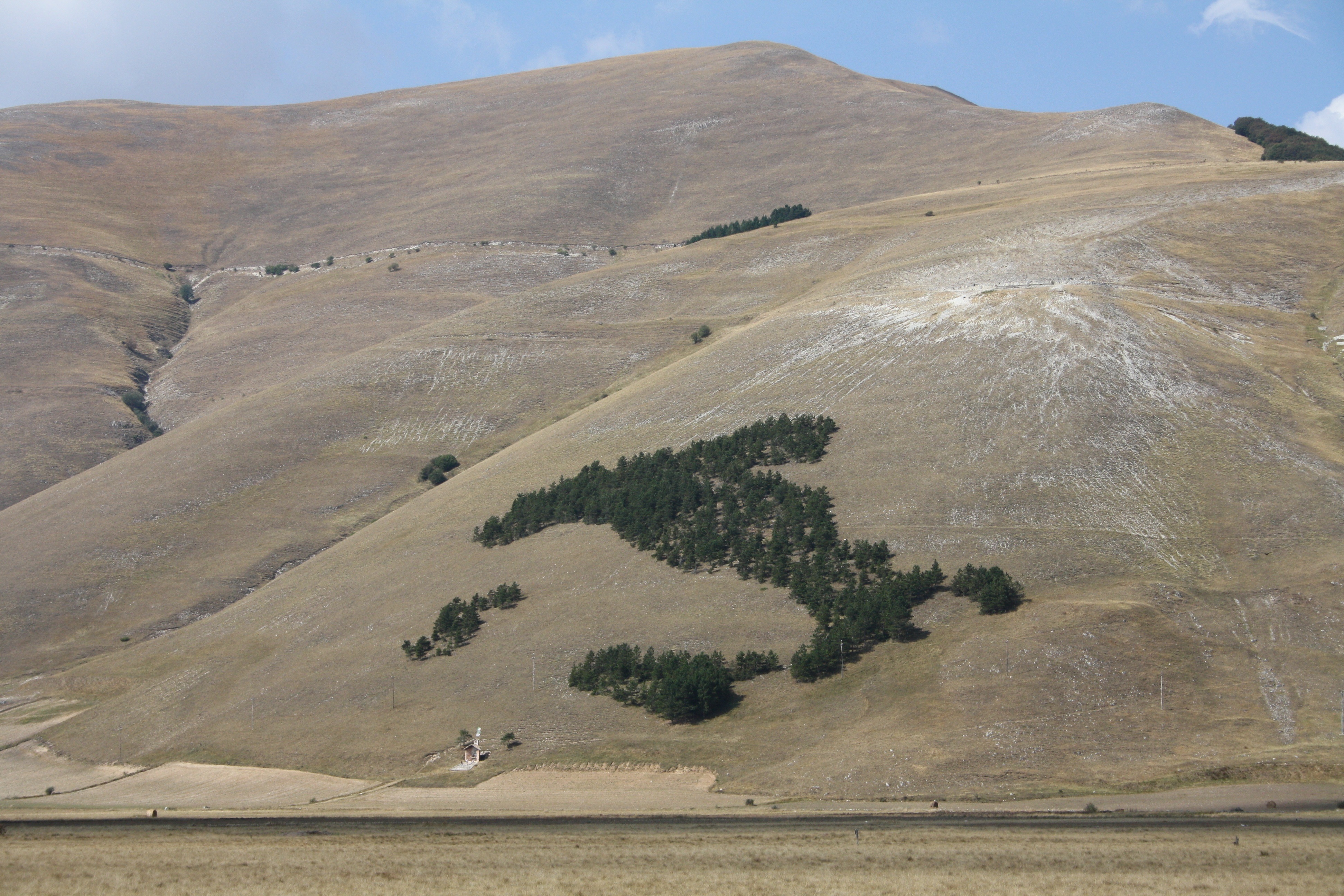 Una roadmap a guida italiana su ambiente e sostenibilità