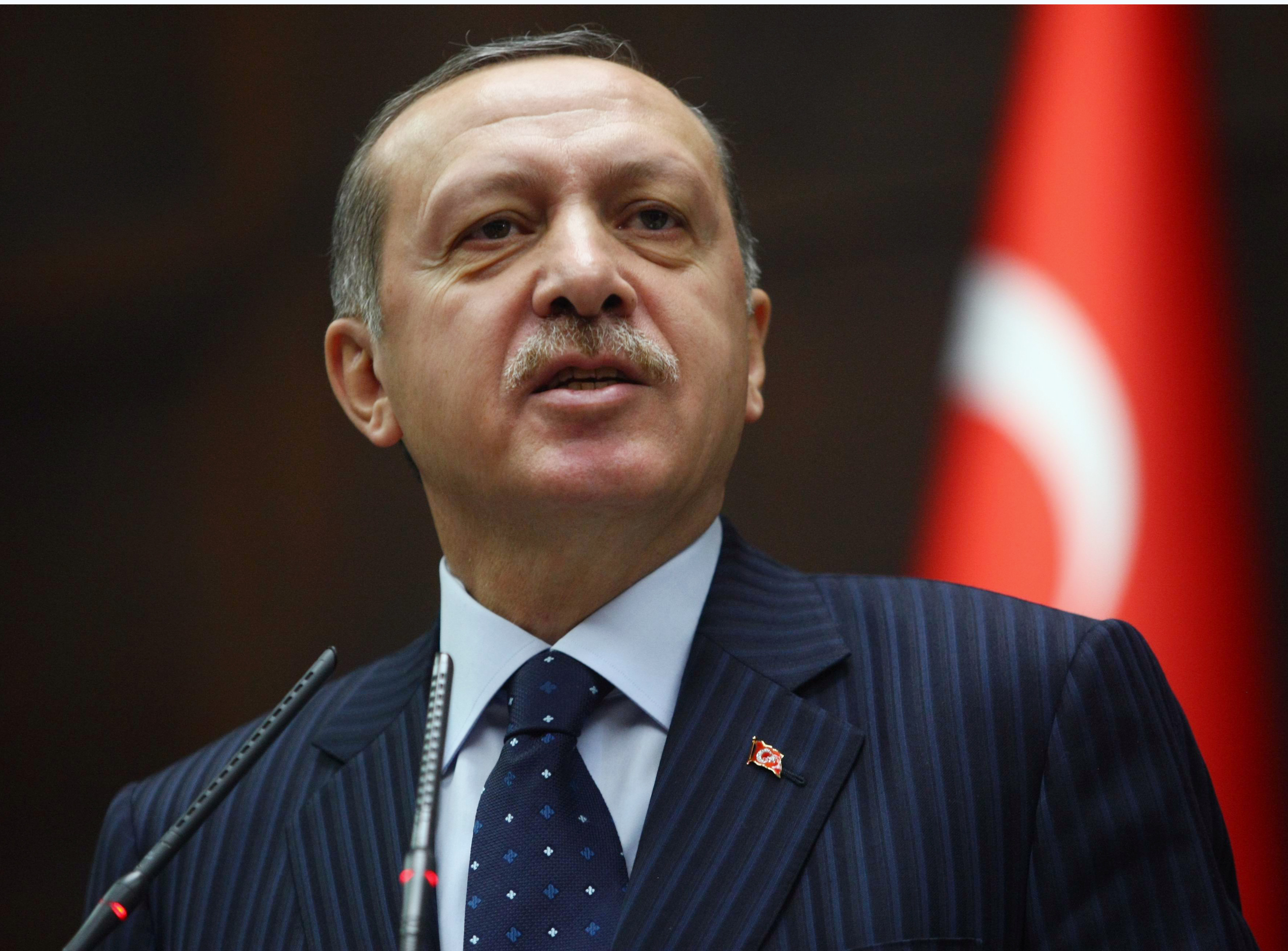 Erdogan, stop a Darwin e videogiochi