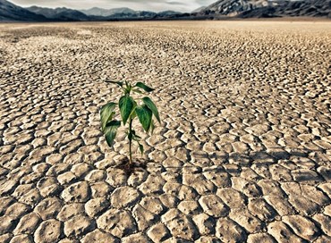 Siccità: gli ultimi 9 mesi sono stati i più secchi di sempre