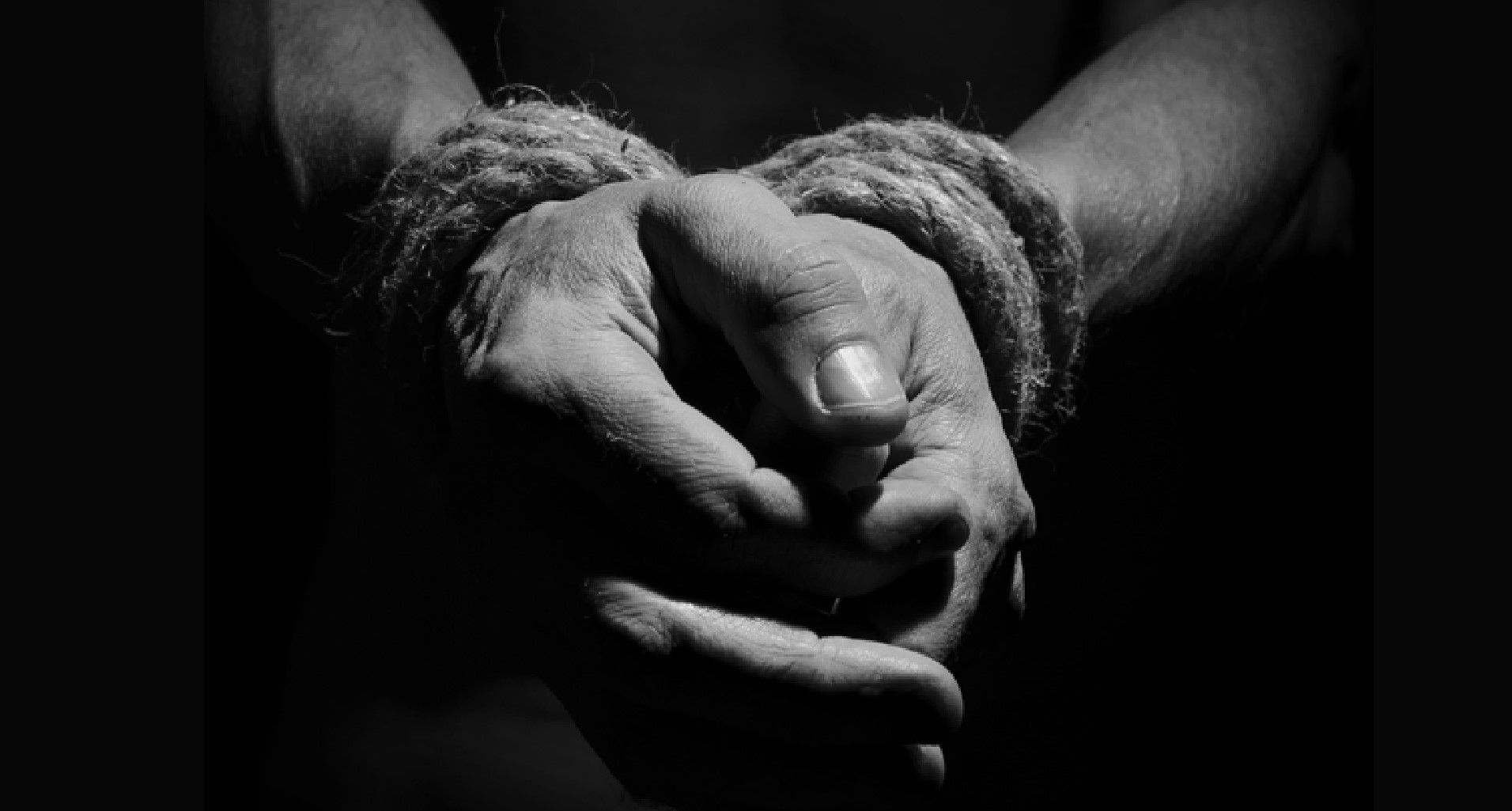 L’Alleanza internazionale per un commercio libero da tortura