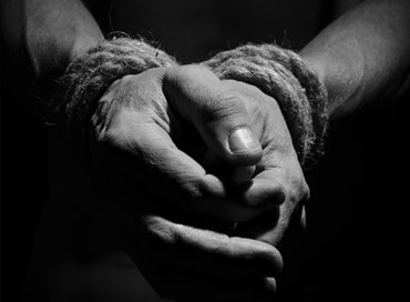 L’Alleanza internazionale per un commercio libero da tortura