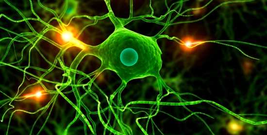 Il Nobel della Chimica al “fermo immagine vita” 