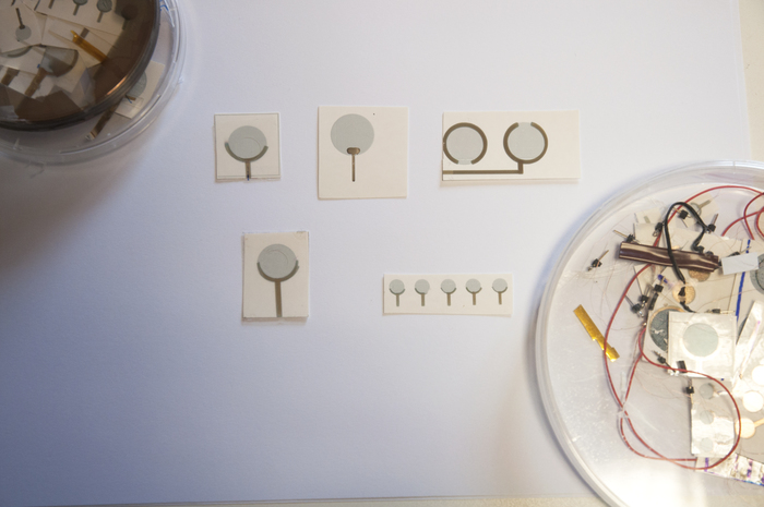 Arrivano gli e-tatuaggi, tattoo made in Italy