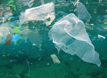 La plastica nell’umido finisce nel piatto