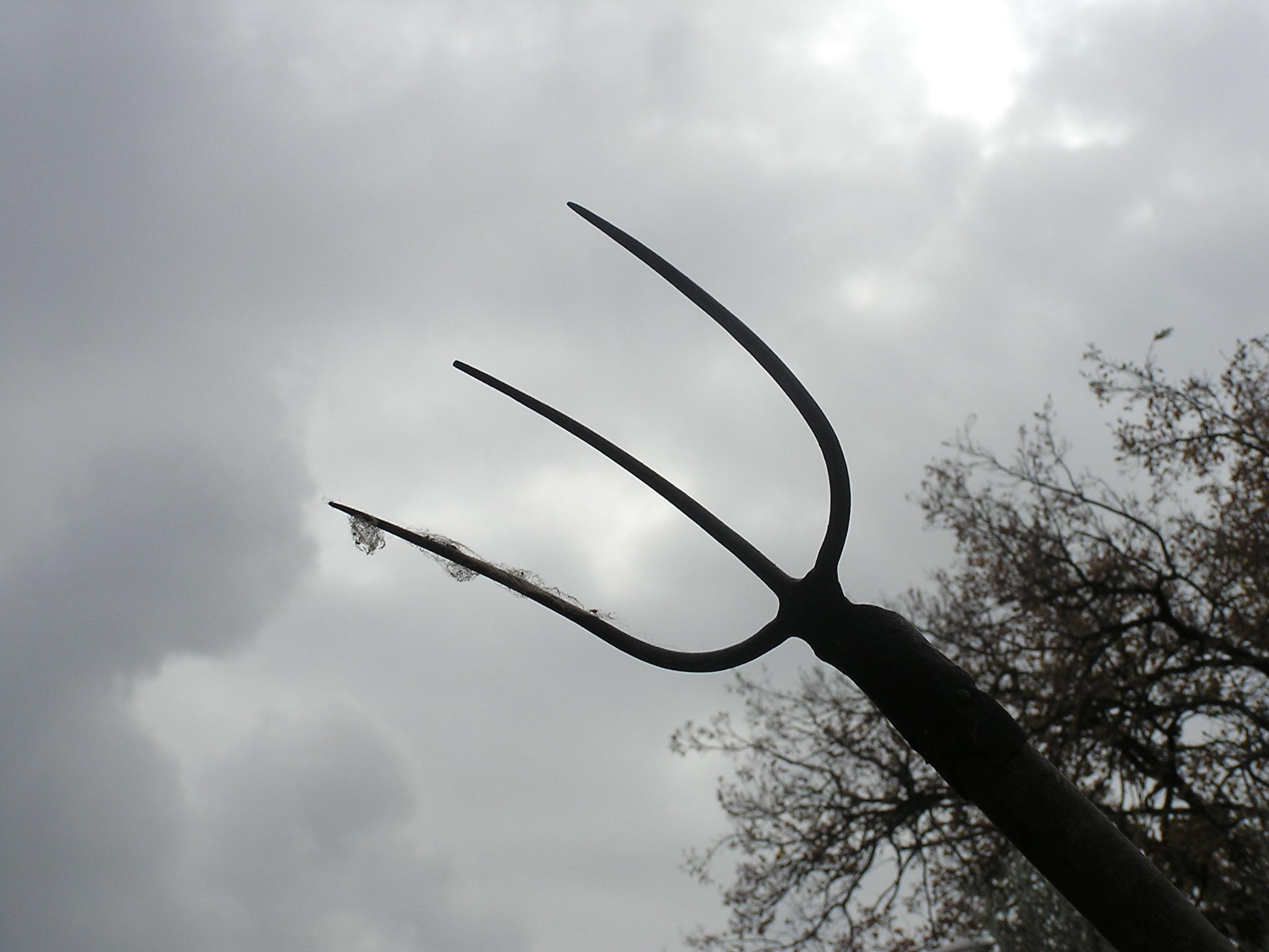 Aria di piazza e di forconi  