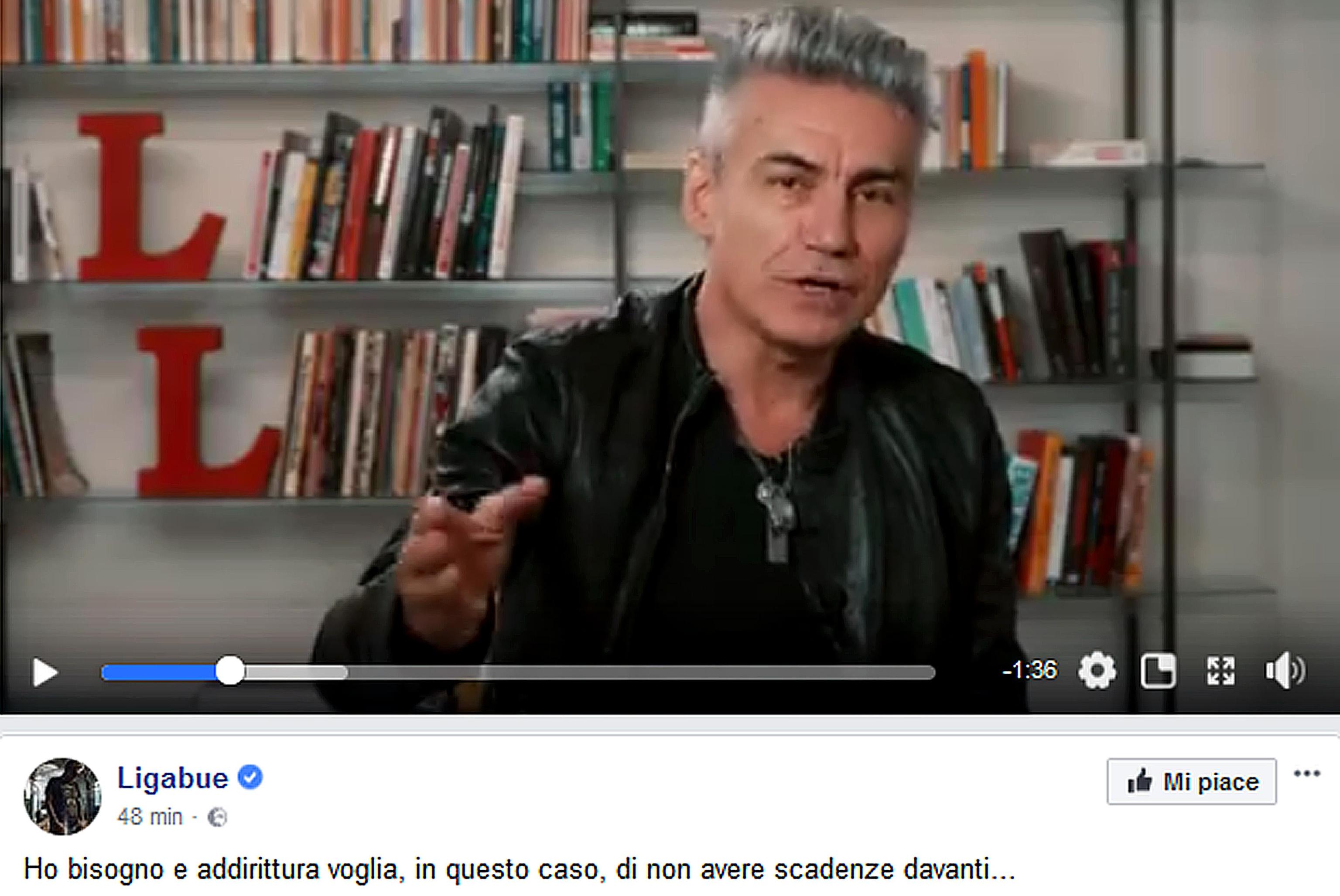 La lunga pausa di Luciano Ligabue