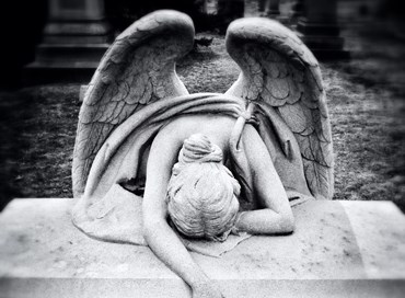 Morte di una legislatura mai nata