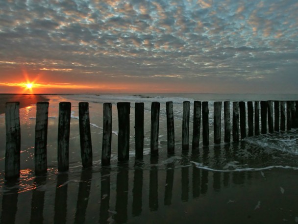 L’informazione politica cade dal pero