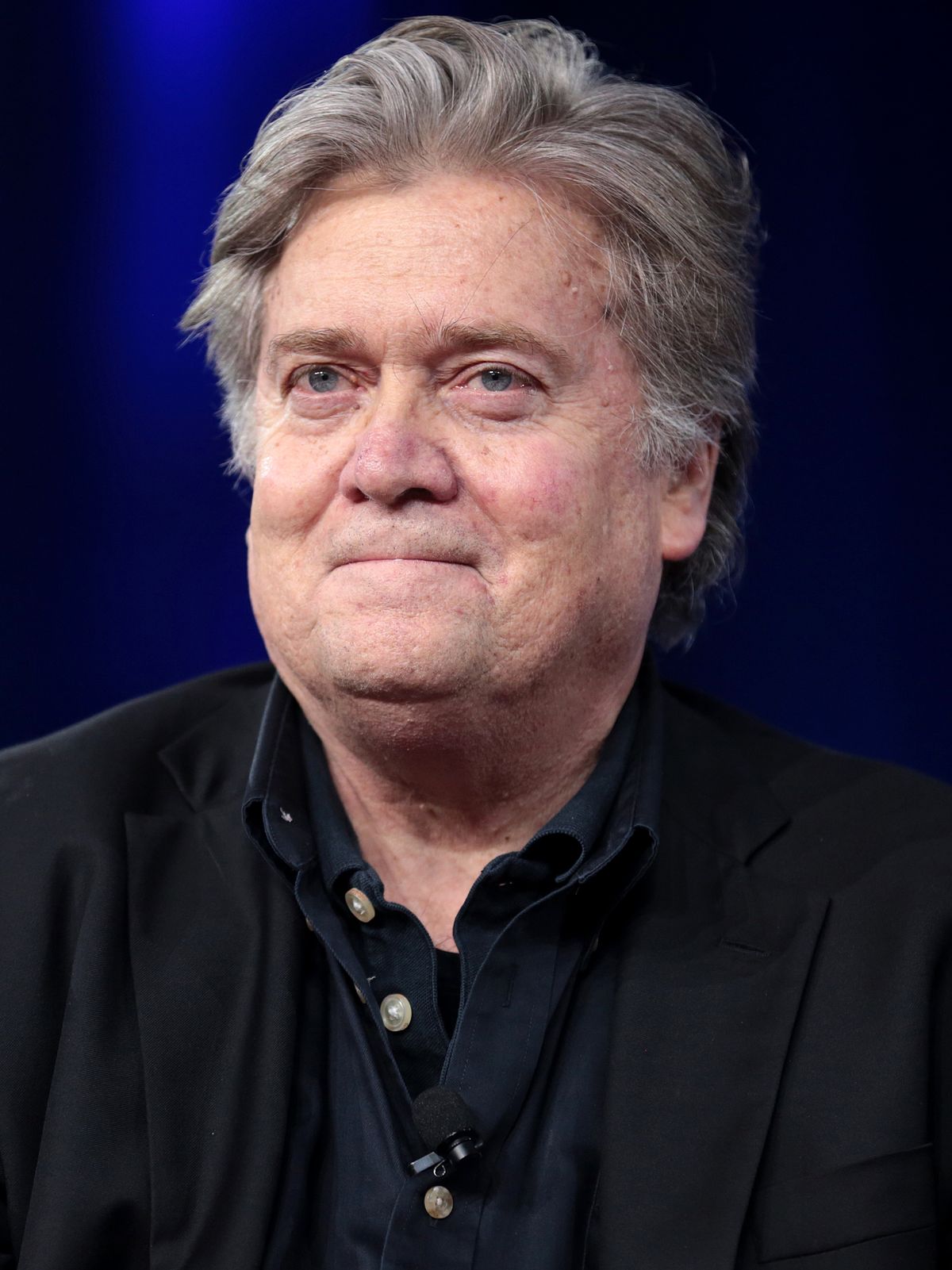 Bannonmania