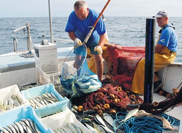 Impianti sportivi e pescatori, redditi sotto 5mila euro