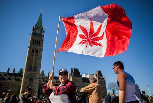 Canada, sì del Parlamento alla marijuana legalizzata