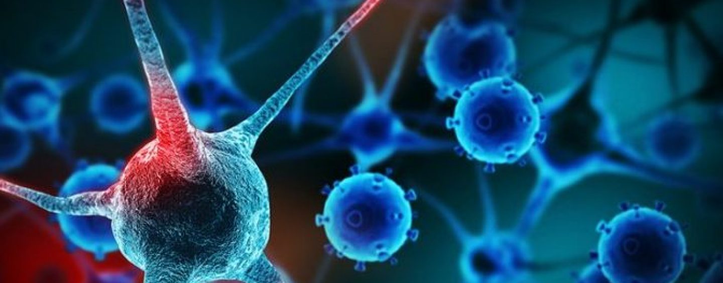 Cancro: analisi di un nemico che si può battere