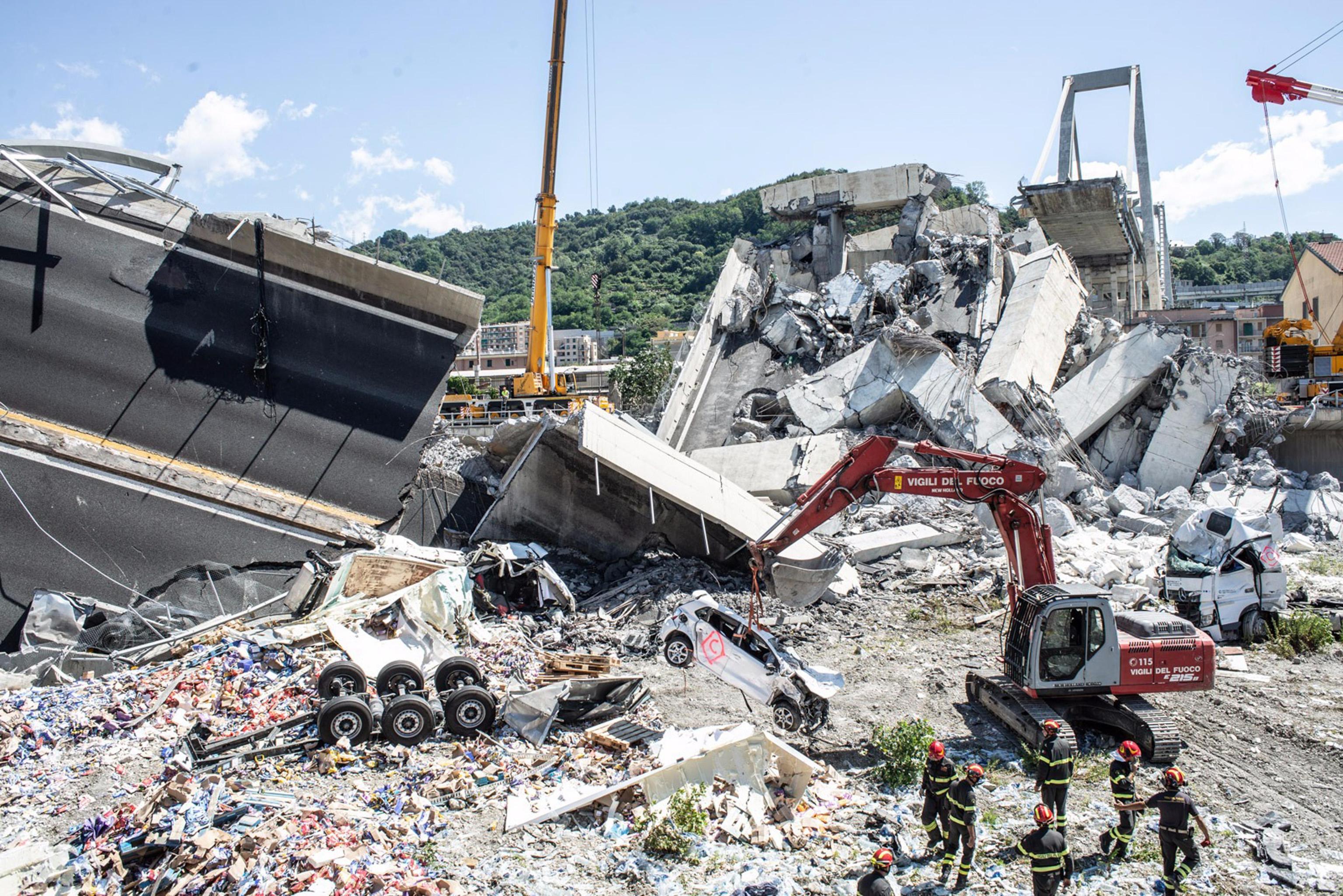 Genova: dalle macerie è nato un fiore