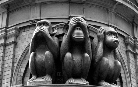 Le scimmie al volante