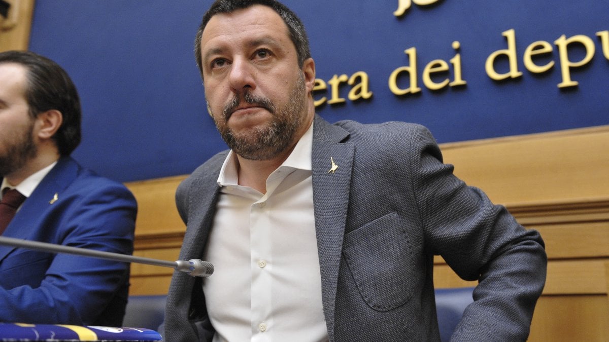 Made in Italy, proposta della Lega
