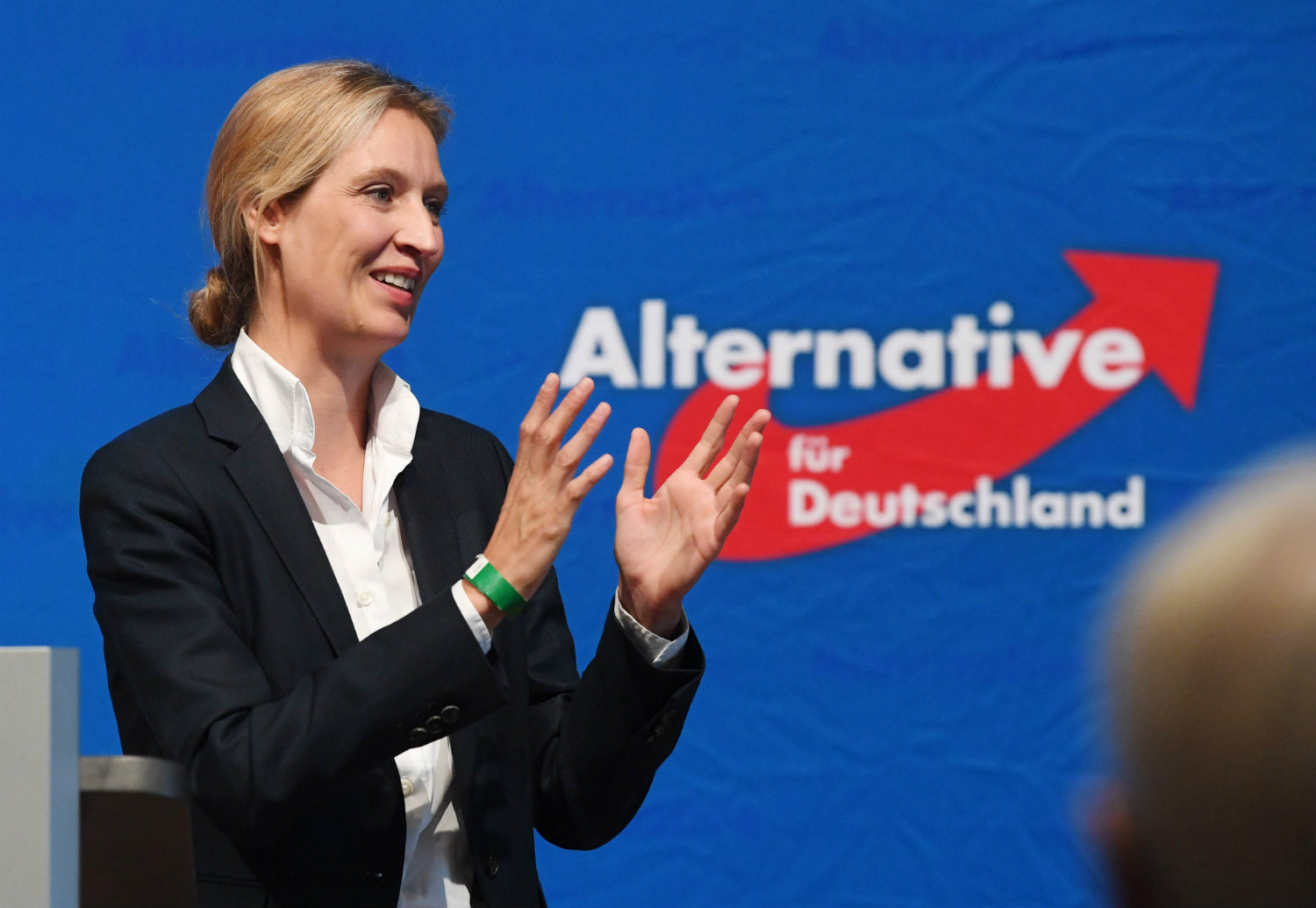 Germania: Afd campione di fundraising su Facebook