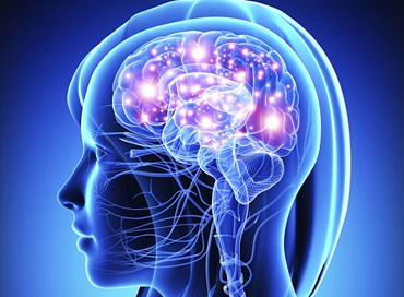 Memoria: cosa danneggia il nostro cervello