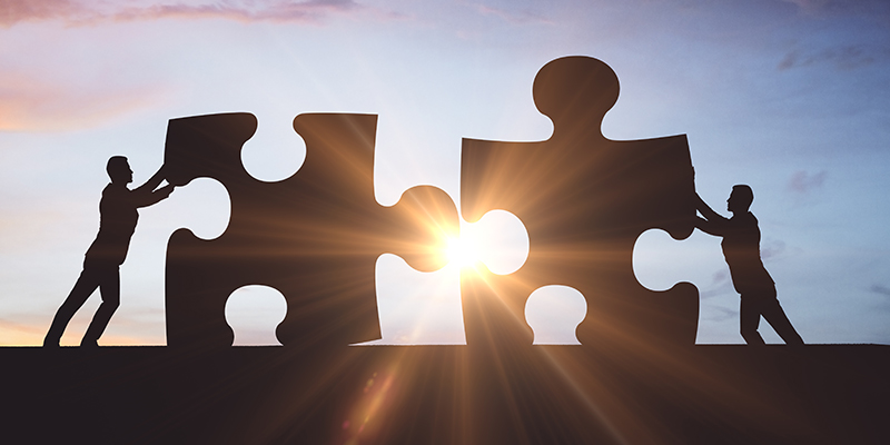 L’illusione della leadership