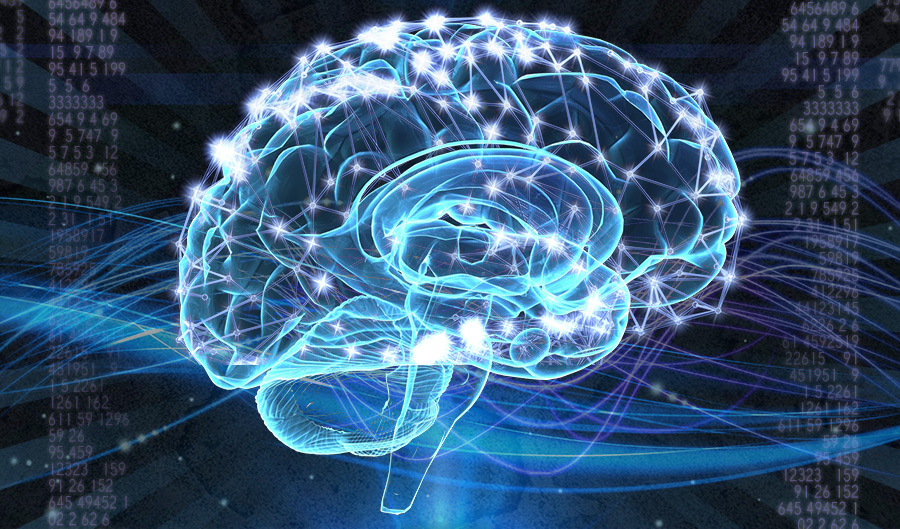 Cellule staminali e bio tecnologia