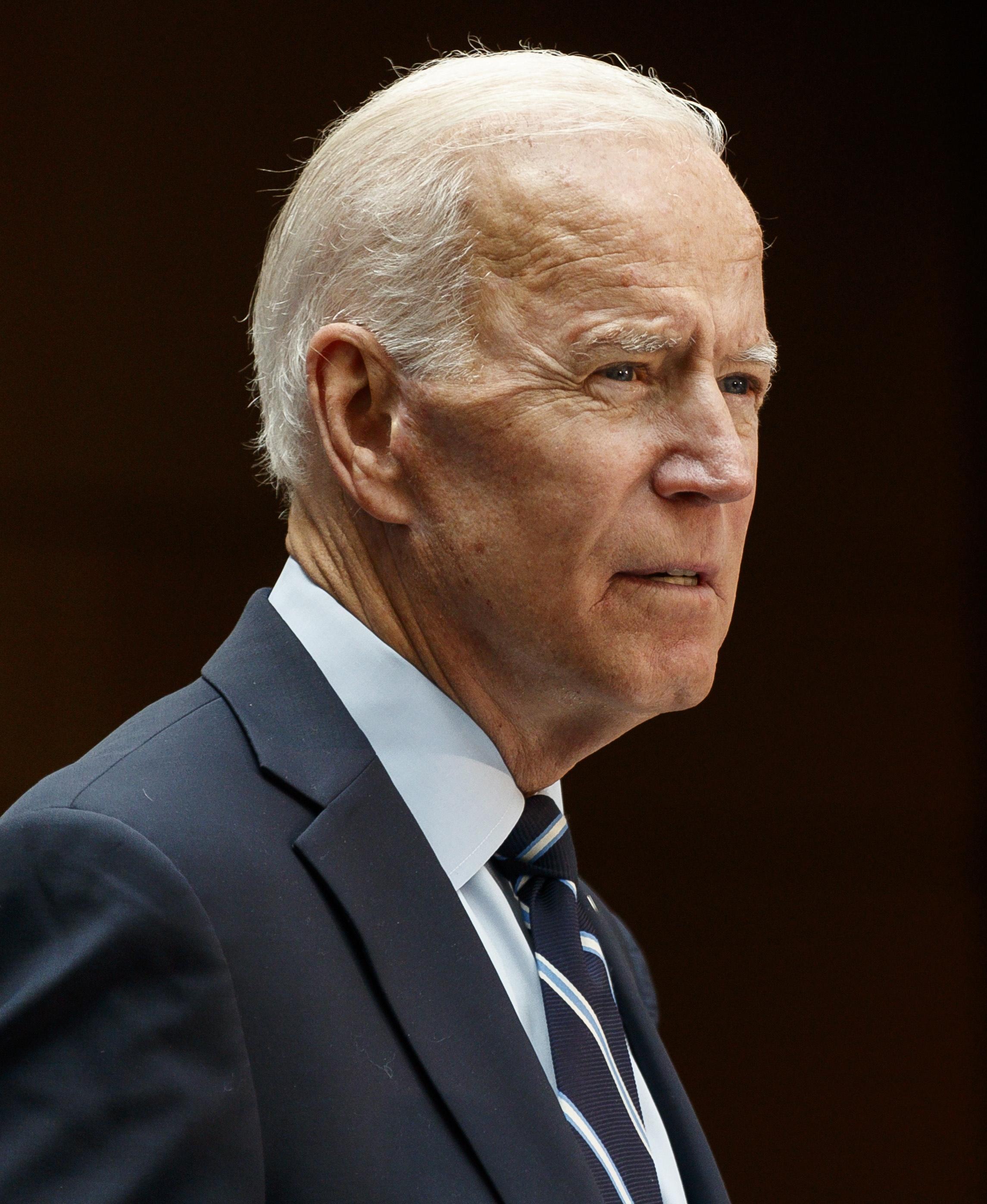 Usa, Primarie dem: tutti contro Biden