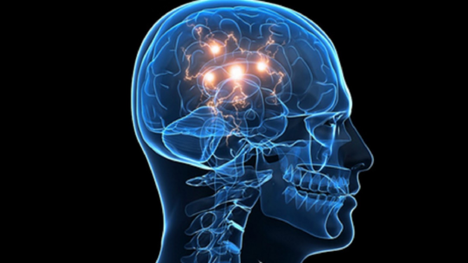 Cosa ci rende umani?