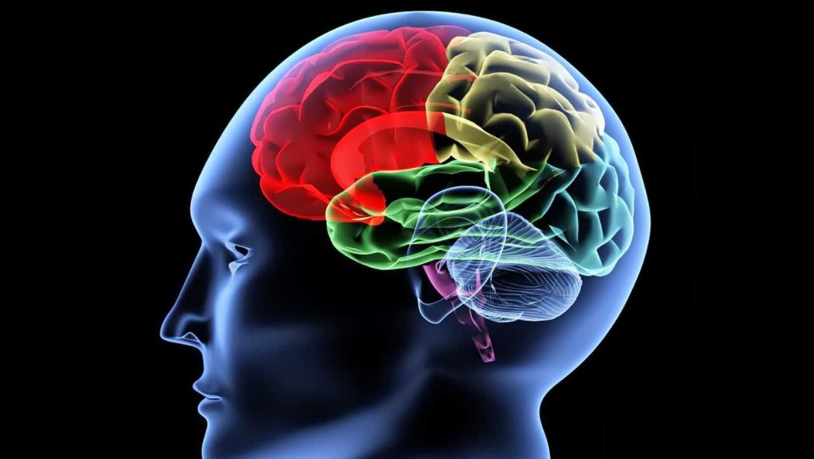 Decifrare il cervello ed emularlo