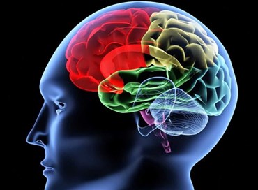 Decifrare il cervello ed emularlo