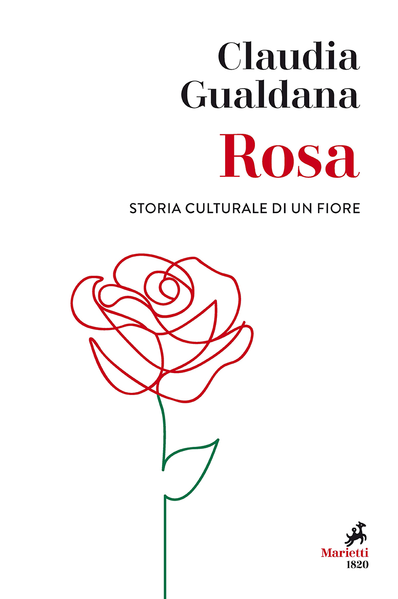 Rosa: più che un fiore 
