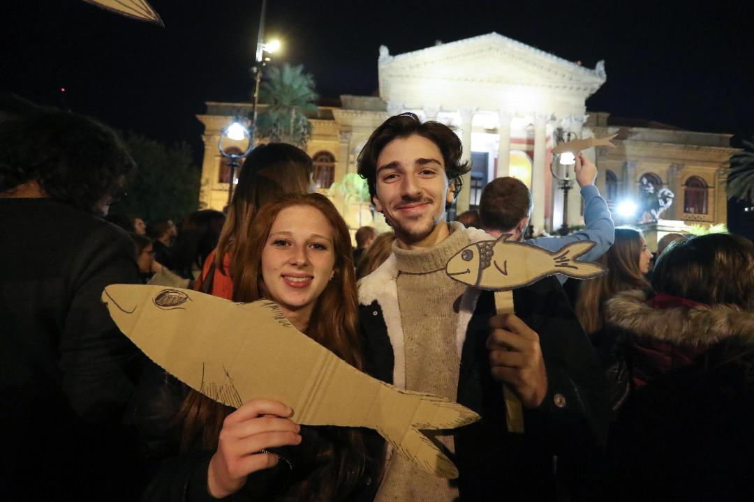 Sardine, baccalà (e altri animali)