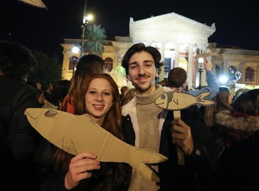 Sardine, baccalà (e altri animali)