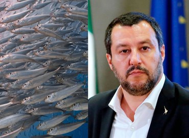 Non sottovalutare le “Sardine”