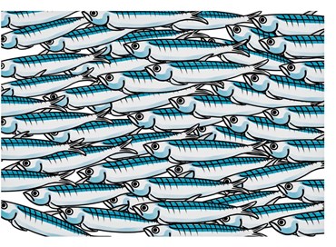 Sardine: i vecchi (sinistri) argomenti