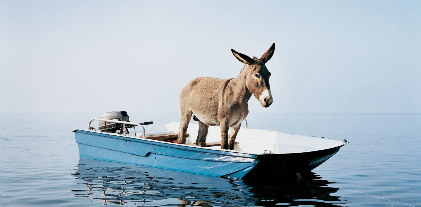 La classe politica senza i fondamentali