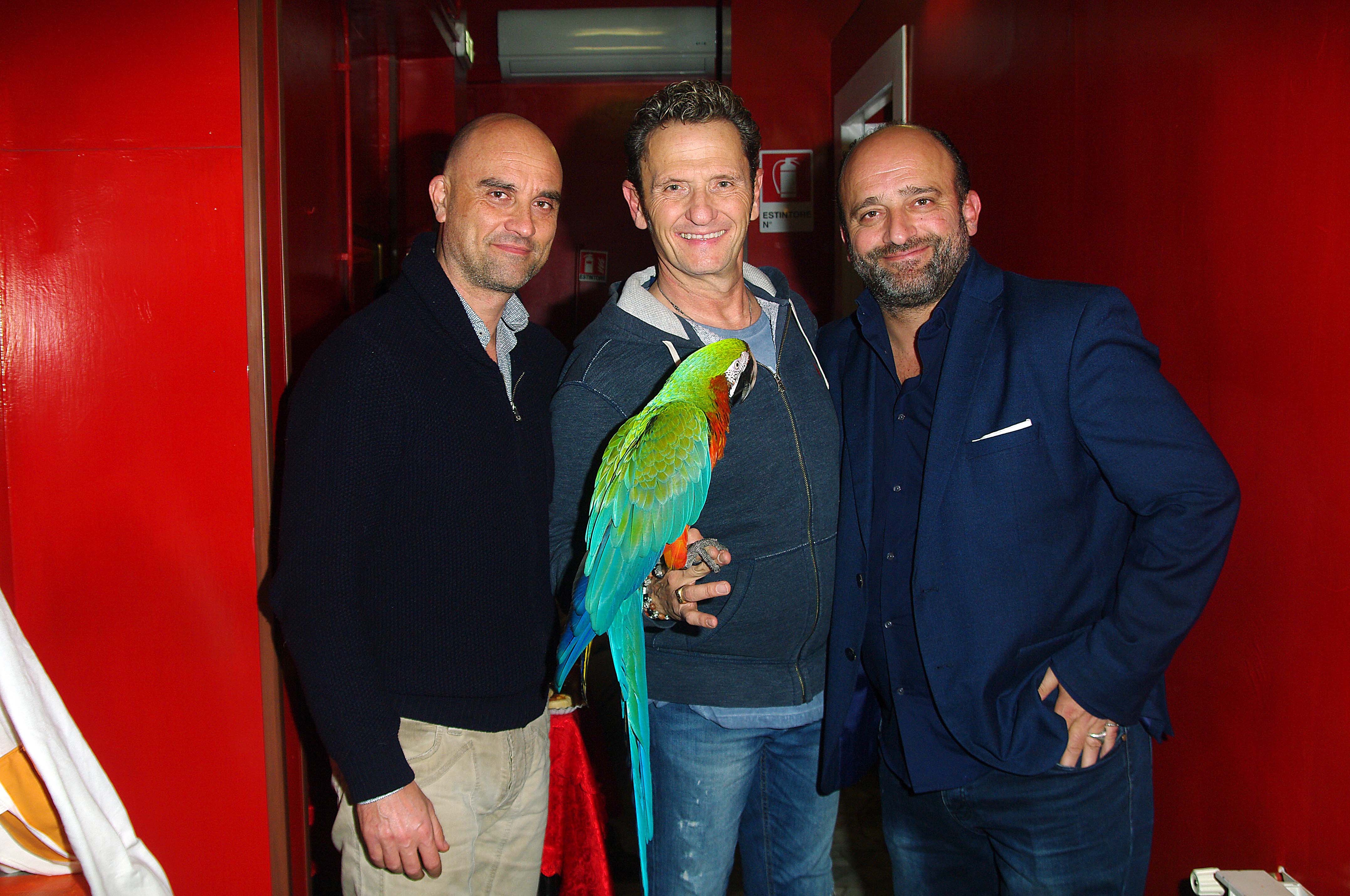 “I love Pets” fino al 9 Febbraio al Tirso de Molina