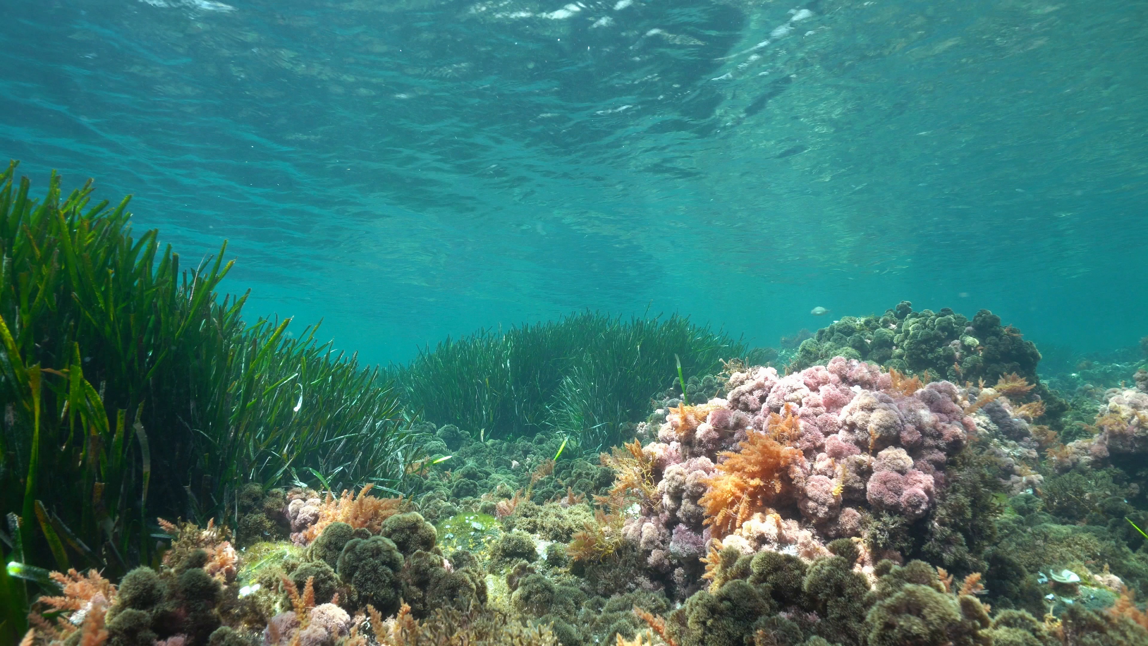 Malta e le politiche marine e sottomarine del Mediterraneo