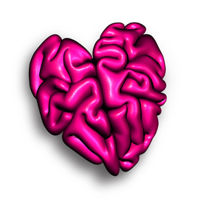 La relazione cuore-cervello