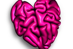 La relazione cuore-cervello