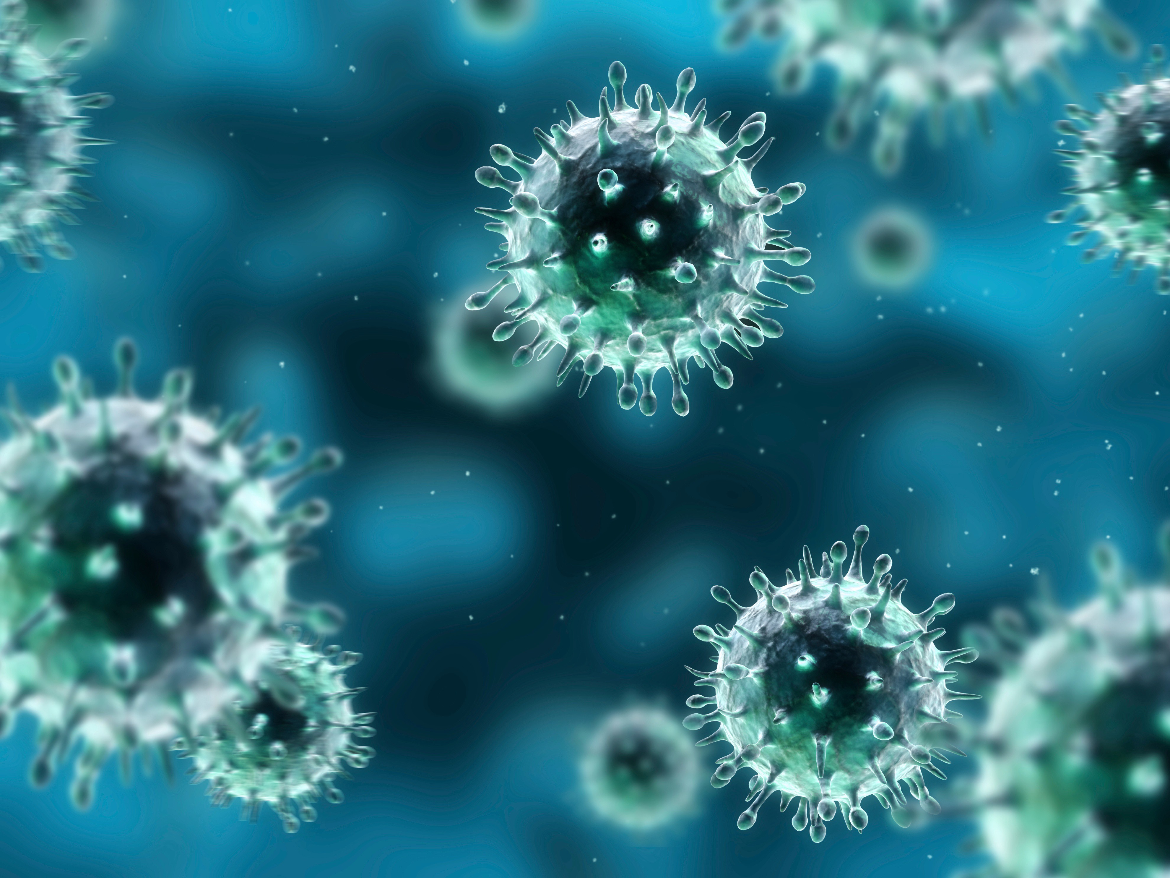 Ecco come il virus dell’antirazzismo ideologico ci ha portato il coronavirus