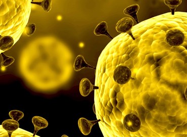 Rai Fiction e Netflix avevano già previsto il coronavirus nella serie a cartoni “Seven and me”