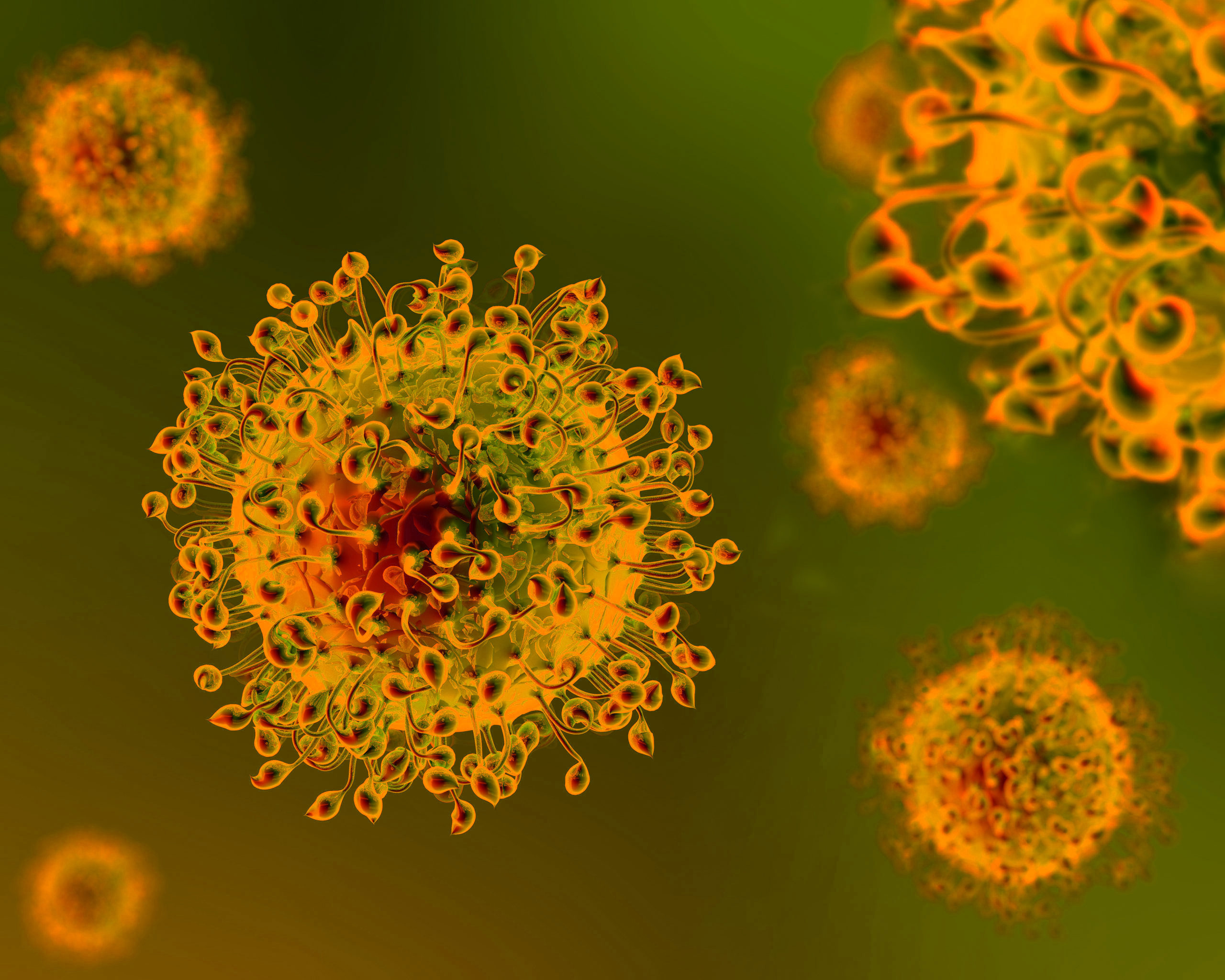 Un virus tutto da capire